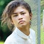 Image result for Zendaya High School