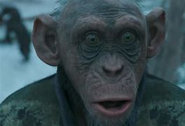 Image result for Monkey From Planet of the Apes