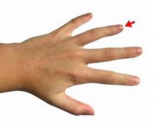 Image result for Ring Finger Chart