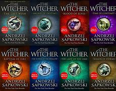 Image result for The Witcher Book Series