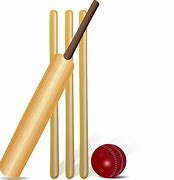 Image result for Printable Cricket Images