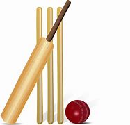 Image result for Cricket PNG