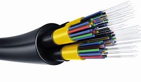Image result for 12 Core Fiber Optic Cable