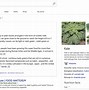 Bildergebnis für Bing Intelligent Search