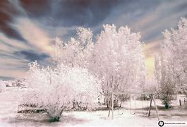 Image result for Winter Lock Screen Wallpaper PC