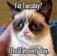 Image result for Fat Tuesday Cat Meme