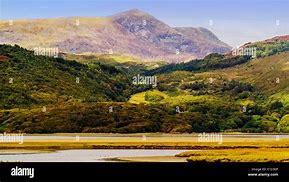 Image result for Afon Mawddach