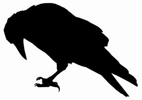 Image result for Raven Cut Out