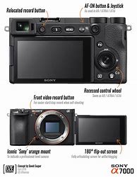 Image result for Sony A7000 Example Photos