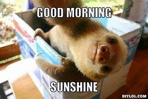 Image result for Good Morning Messages Funny Sloth