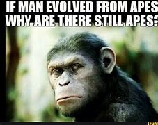 Image result for Meme From Ape to Man