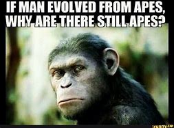 Image result for Apes Test Memes