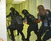 Image result for Tactical Gear for Prison Extraction