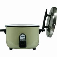 Image result for Rice Cooker Warmer