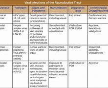Image result for Cancerous HPV Warts