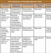 Image result for First Signs of Genital Warts