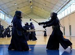 Image result for Japanese Fighting Styles