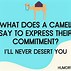 Image result for Hump Day Camel Memes