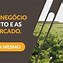 Image result for agro
