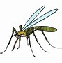 Image result for Malaria Mosquito Cartoon