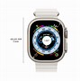 Image result for Apple Watch Titanium Ocean Band