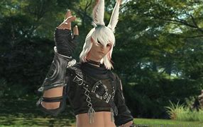 Image result for FF14 Viera Male Double Chin