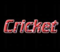 Image result for Pak Cricket