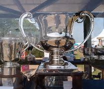 Image result for Cricket Trophies