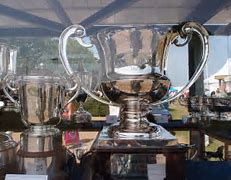 Image result for Sports Trophies and Awards