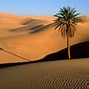 Image result for Desert Theme Wallpaper
