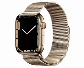 Image result for Gold Stainless Apple Watch