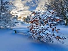 Image result for hiver