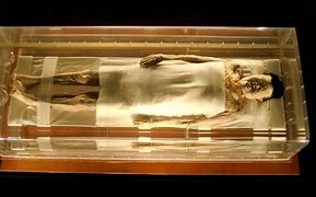 Image result for Perfectly Preserved Bodies