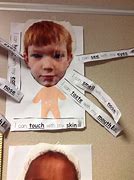 Image result for Science Projects On 5 Senses