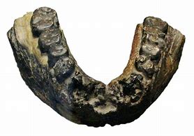 Image result for Ur 501 Jawbone