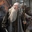 Image result for Gandalf the Grey