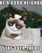 Image result for Top Grumpy Cat Memes