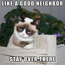 Image result for Grumpy Cat Memes Must Be Nice