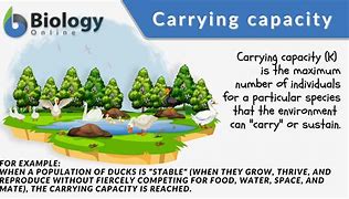 Image result for Carrying Capacity in Biology Definition