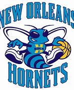 Image result for New Orleans Hornets Unveil Pelicans