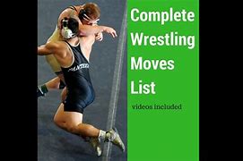 Image result for Basic Wrestling Moves