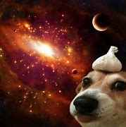 Image result for Funny Galaxy