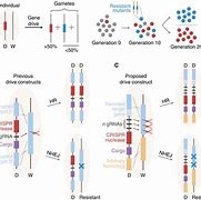 Image result for Gene Drive