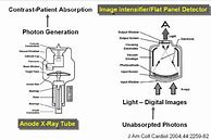 Image result for Radiation Safety Manual Template