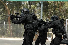 Image result for Australian Swat