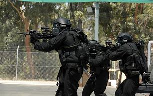 Image result for Swat Phots