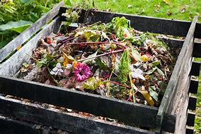 Image result for Compost Pile for Gardens