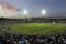 Image result for Cricket Field