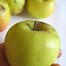 Image result for Different Shade of Apple Fruit