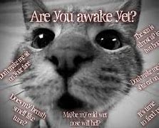 Image result for Are You Awake Meme